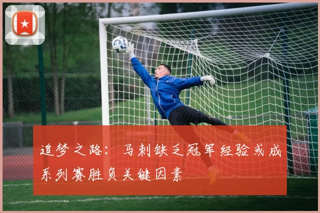 追梦之路：马刺缺乏冠军经验或成系列赛胜负关键因素