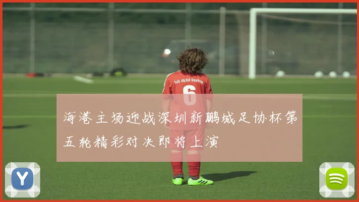 海港主场迎战深圳新鹏城足协杯第五轮精彩对决即将上演